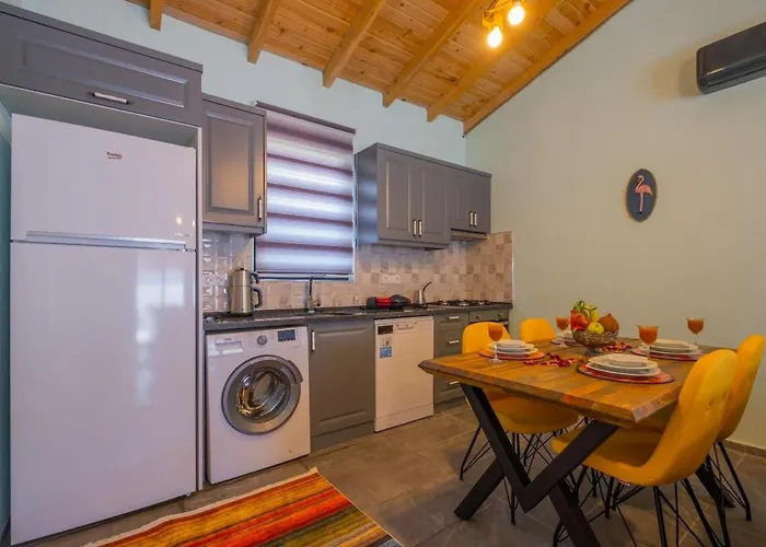 Ozbi-conservative In Camkoy For 4 Person Vilă Fethiye