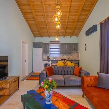 Ozbı-conservative In çamkoy For 4 Person Villa Fethiye